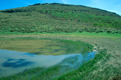 Las balsas de alta monta�a poseen un importante valor ecol�gico y antropol�gico. � FJAD.