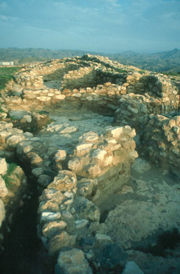 Yacimiento arqueol�gico de Los Millares. �JJMG.