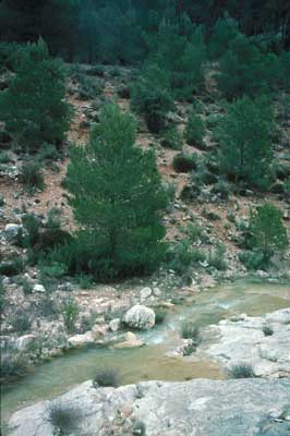 Escasean los cursos superficiales de agua, como el Arroyo de Taibena. �FJAD.