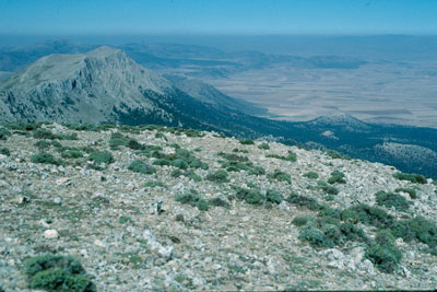Panor�mica desde la cumbre de Sierra Mar�a.� FJAD.