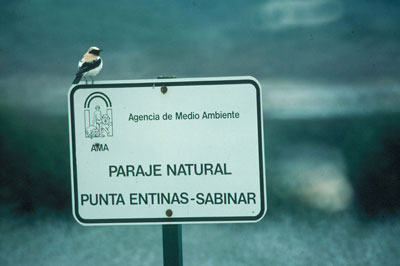 La creaci�n de la Red Andaluza de Espacios Naturales Protegidos, ha sido uno de los objetivos prioritarios. � JJMG. 