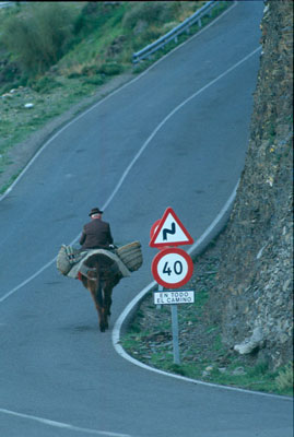 El turismo rural y de la naturaleza tiene unas posibilidades inmensas en una provincia con las caracter�sticas de Almer�a. � FJAD.