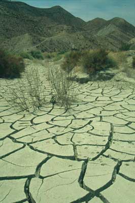 La denudaci�n del suelo es un problema de dif�cil soluci�n. � JJMG.