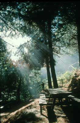 Adecuaci�n recreativa El Chortal.�  APR.